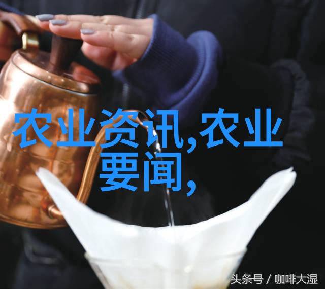 蜜蜂王国从繁忙的工作者到悠闲的养家者