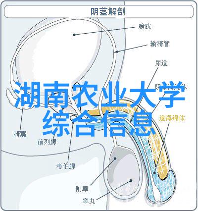 铁关观音茶商标特点解析