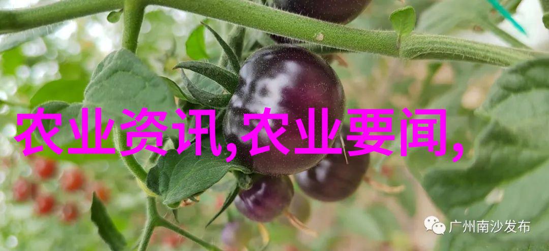 榆叶梅花卉种植中的优雅佳人如何倾听她的养殖方法