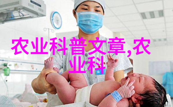 淘宝养殖揭秘高效的泥鳅养殖技术与管理策略