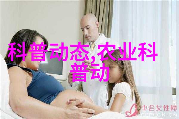 多季度养蜂计划一年四季如何保持蜜蜂数量稳定