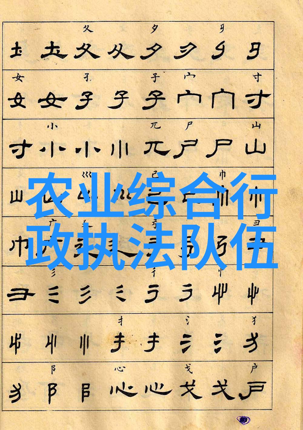 数字编码的秘密之谜解析5252bobo背后的故事