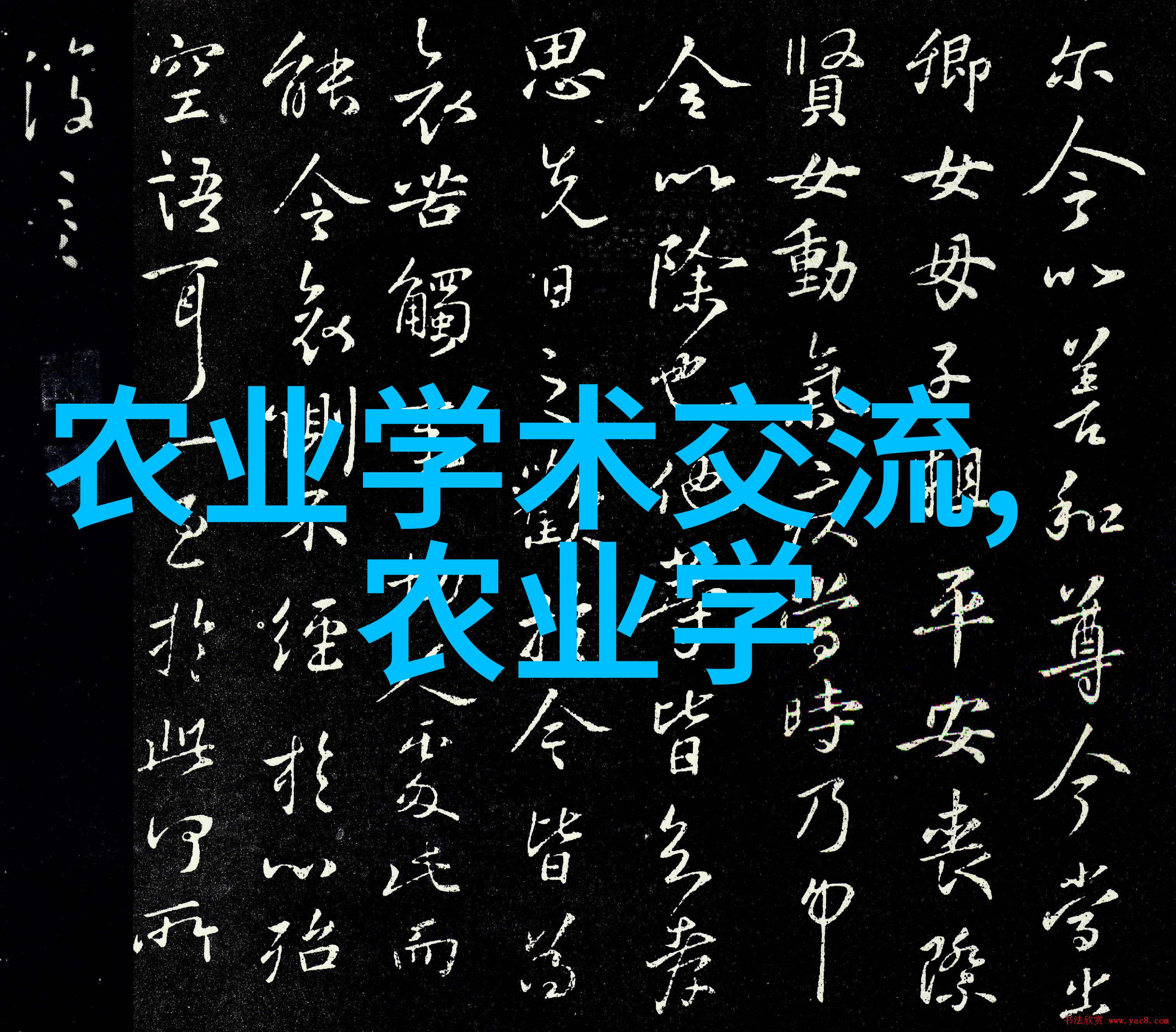 黄骨鱼的秘密食谱建筑工程技术出身精通味蕾