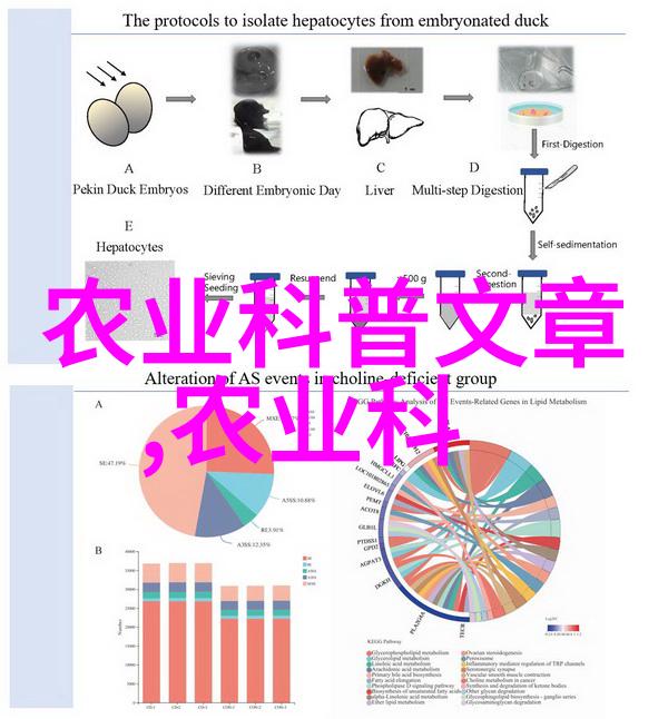 今日猪价风云变幻揭秘市场涨幅背后的故事