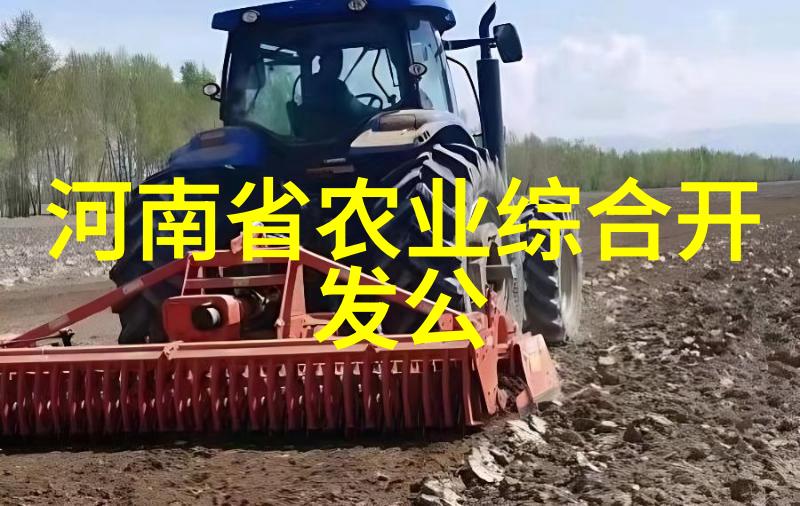 大棚种菜技术大全我是怎么在家里建起自己的蔬菜小帝国的