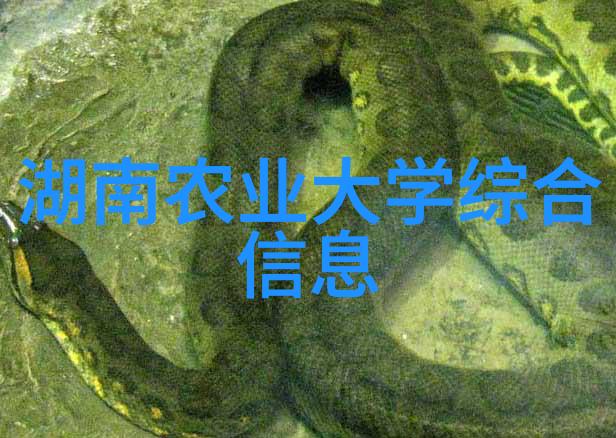 视频应用微生物发酵床技术在无土泥鳅养殖中减少臭气和氨气排放转化粪便为有机肥用于家禽种植的阳台养殖模式