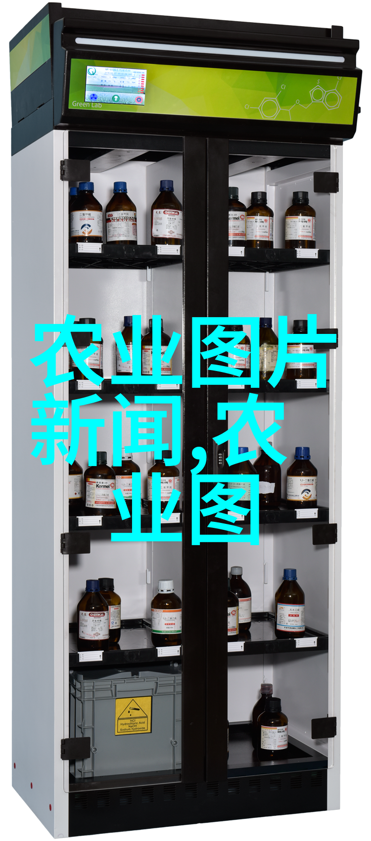 鱼池丰收分析高效率和高回报的淡水养殖方法