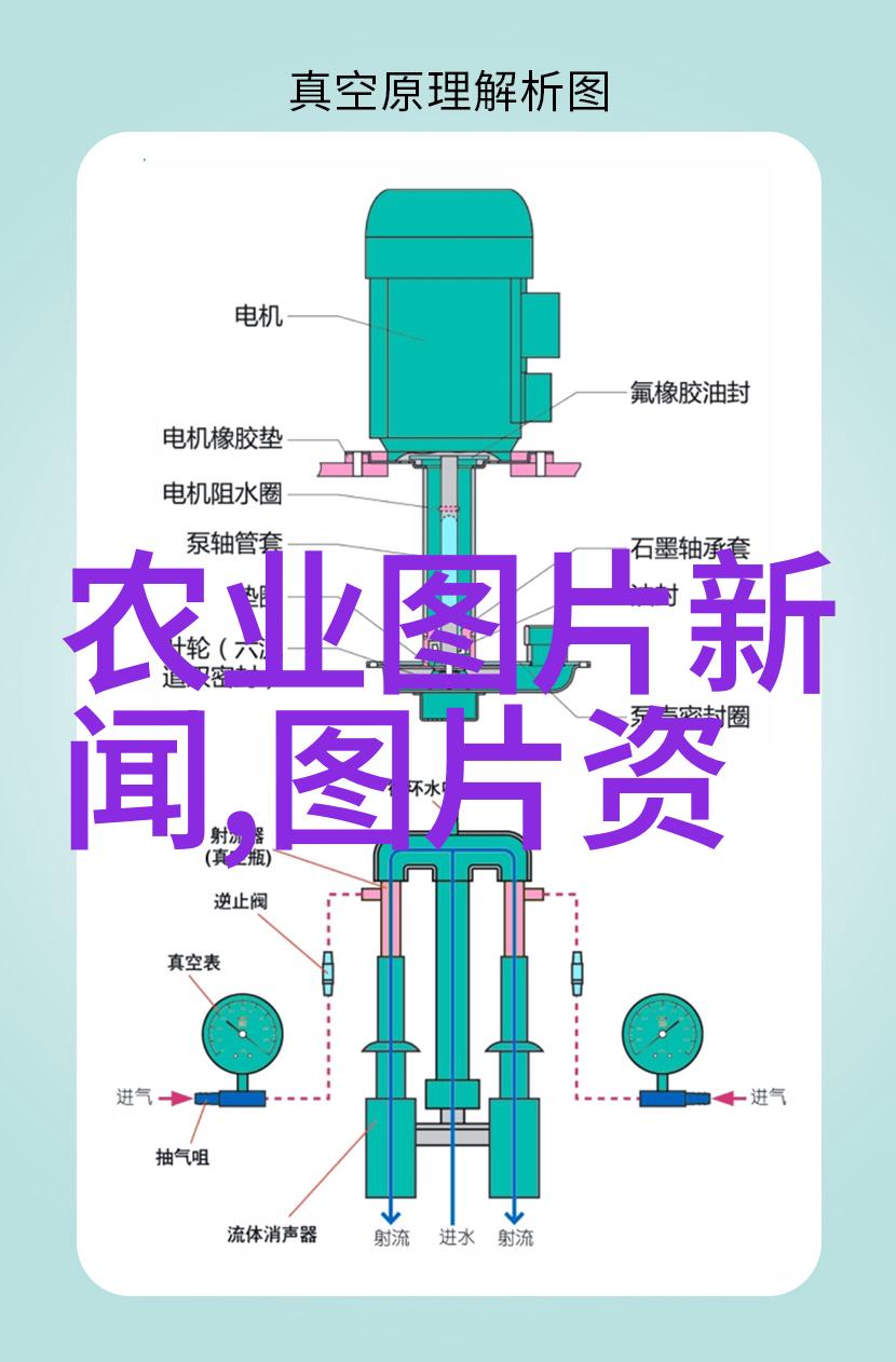 如何正确选择金蝉种苗以保证后续养殖的成功