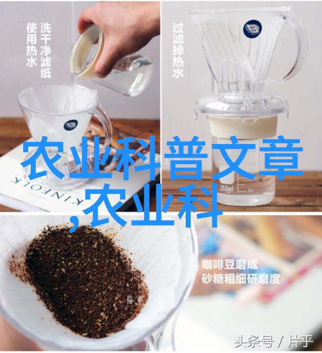 可以吃的植物观赏茄子可以吃吗