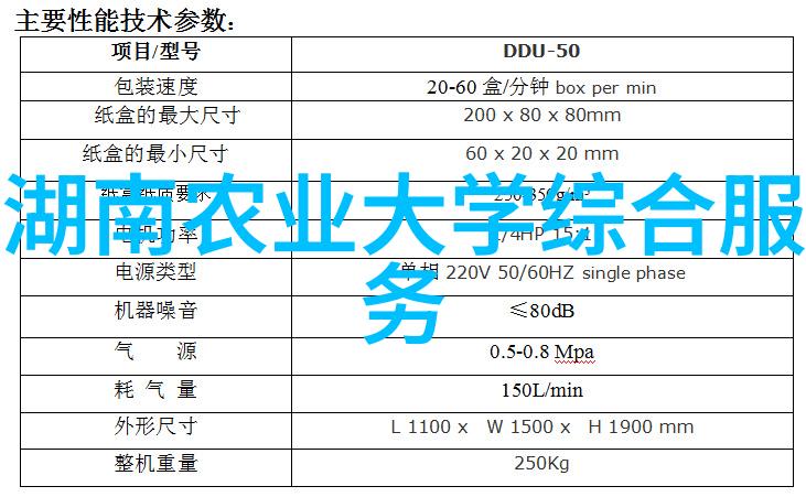 绽放初心新手园艺之花的启航