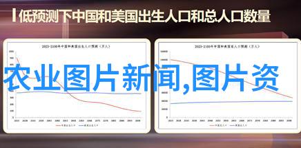 黄鳝养殖技术培训与实践指南