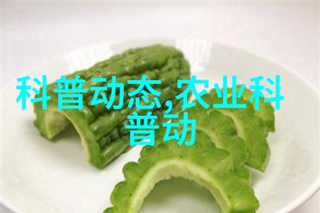 蜜蜂养殖初学者必备知识蜜蜂的日常照料与管理