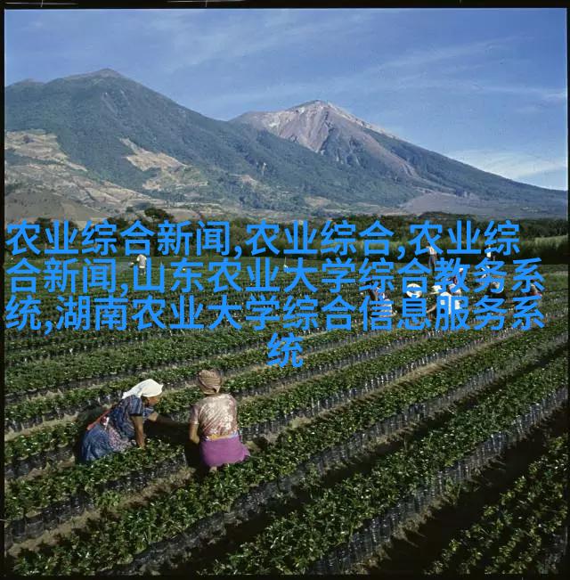 舒适通风屋顶结构示意图