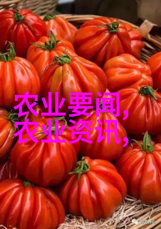 中国最先进履带旋耕机助力糠麸类饲料种植价格多少钱一吨又有哪些种类