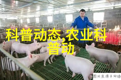 泥鳅养殖技术培训-深度解析提升效率的现代泥鳅养殖操作与管理