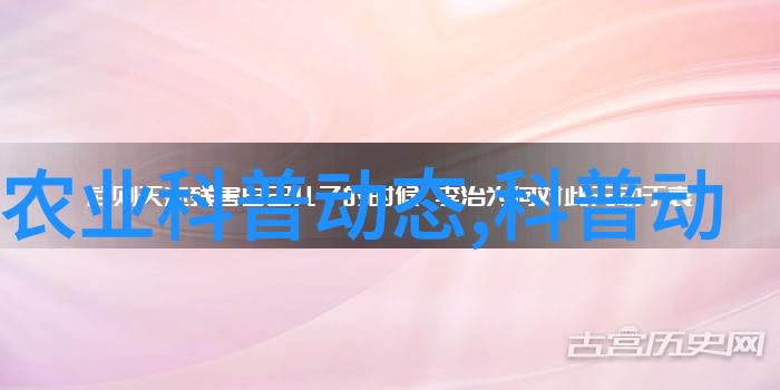 林志颖45岁满头白发时尚绅士的银色冠冕