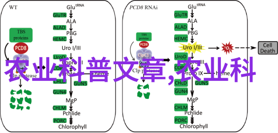 改善生态环境提升经济效益绿色泥鳅工场实践