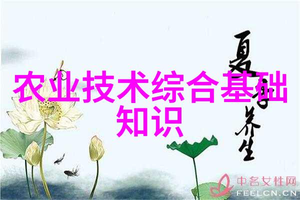 蜜蜂养殖管理艺术精准引领花香丰收