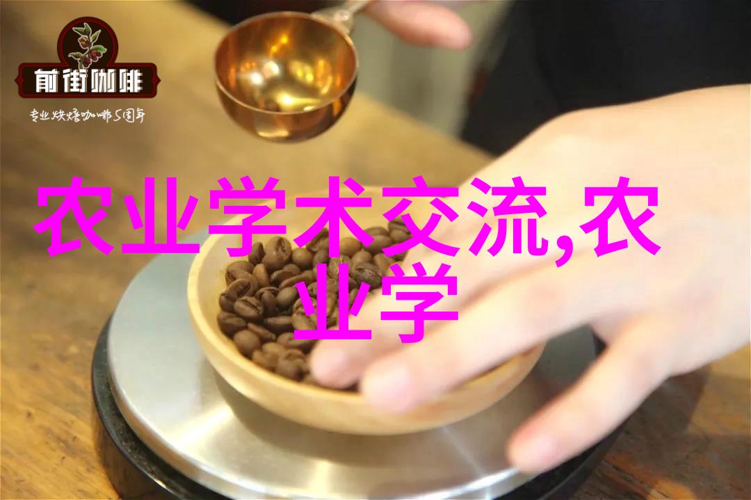 品味茶香享受健康探索喝茶叶的多重益处