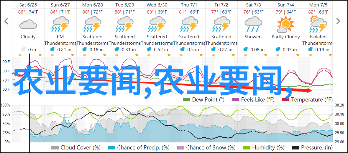 蜂群管理如何避免蜂群分裂