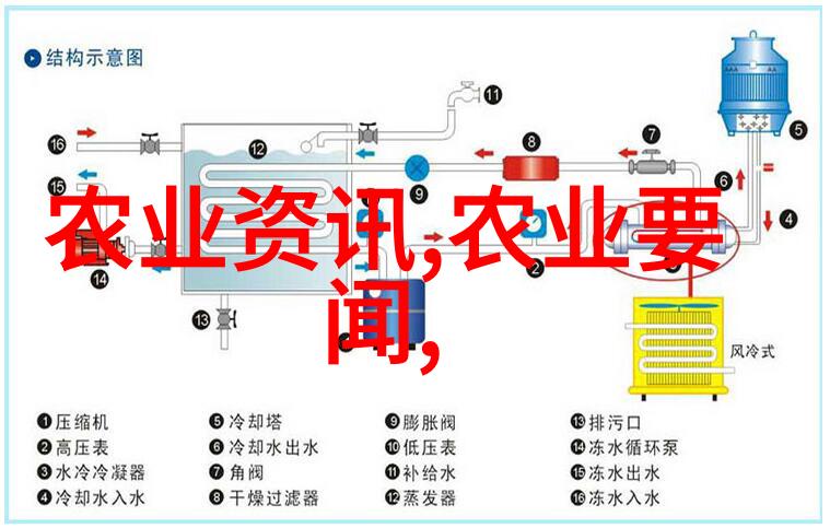 紫叶稠李10公分种子高品质的家庭园艺植物种子