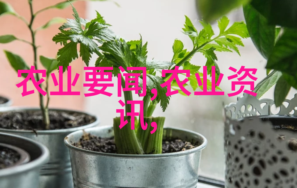 大漠狂歌我在沙漠里吼叫