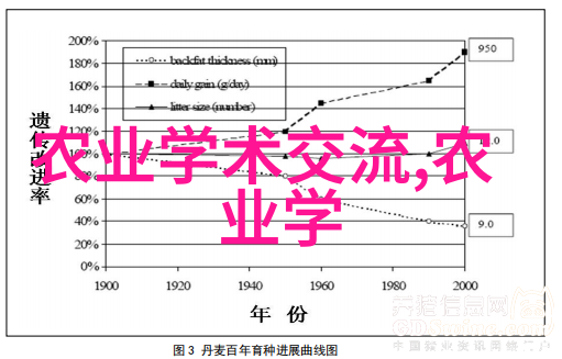 鸡群管理艺术揭秘高效养殖的诀窍