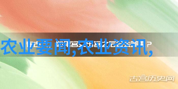 栾树下生蚜虫人手轻摘五针松竟遇15公分佳品