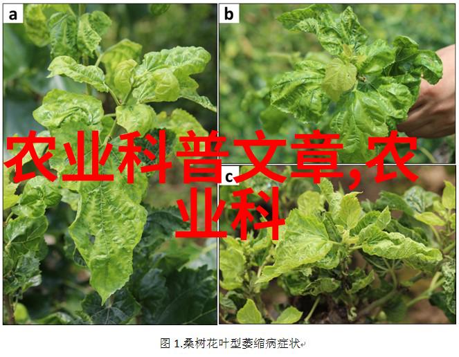 绿色革命种植养殖业的未来之路探索