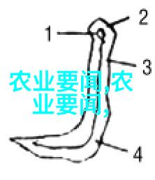 茶道文化的韵味与智慧