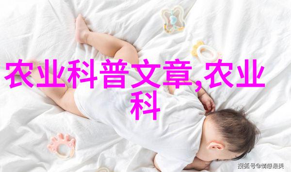 沉默的课堂一位驯服女教师的故事