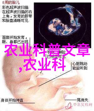 花卉种子播种方法我来教你如何轻松培育自己的小花园