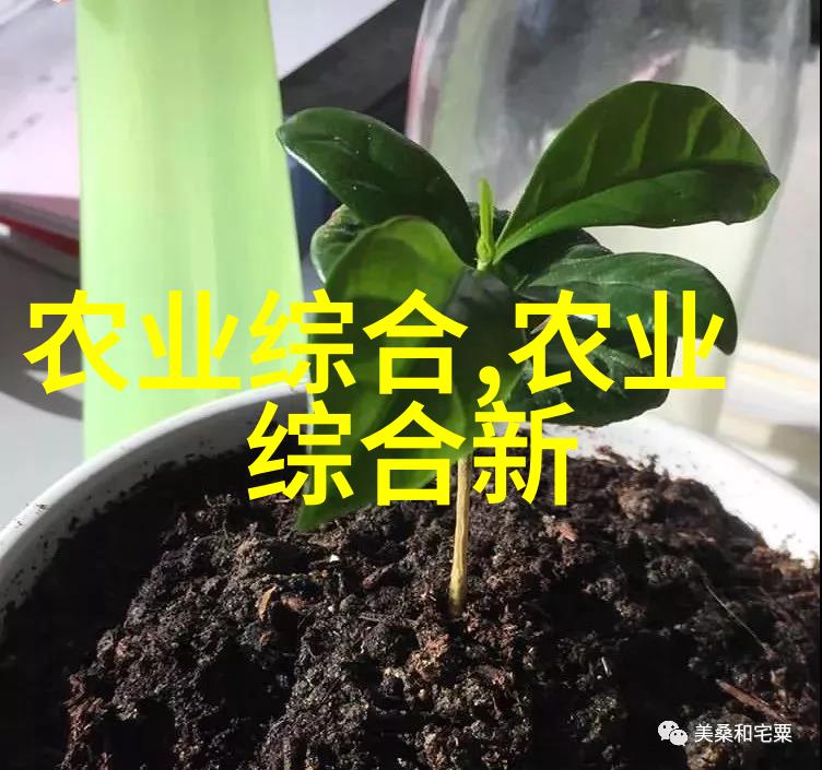 急母猪磨牙怎么办在自然环境下母猪老是磨牙的原因是什么