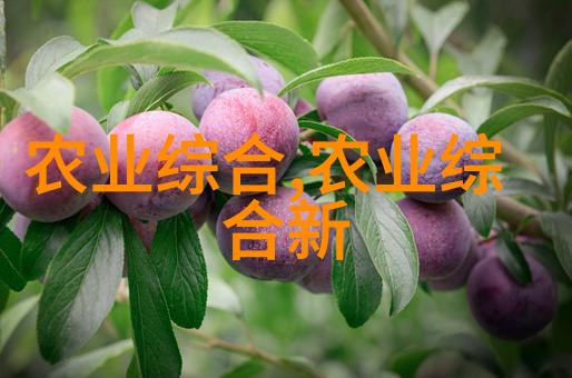 蜜蜂养殖与癌症风险的关联探究