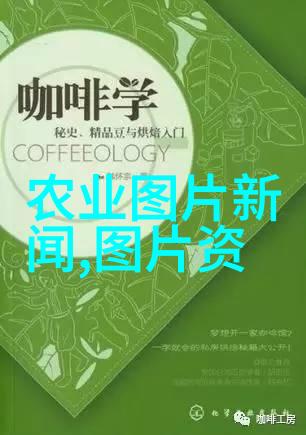 科学养蜂技术和方法-精准管理提升蜂群健康与产量的科学养蜂新篇章