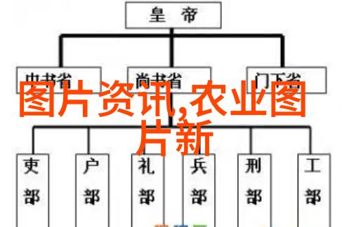 母羊一天的玉米消耗