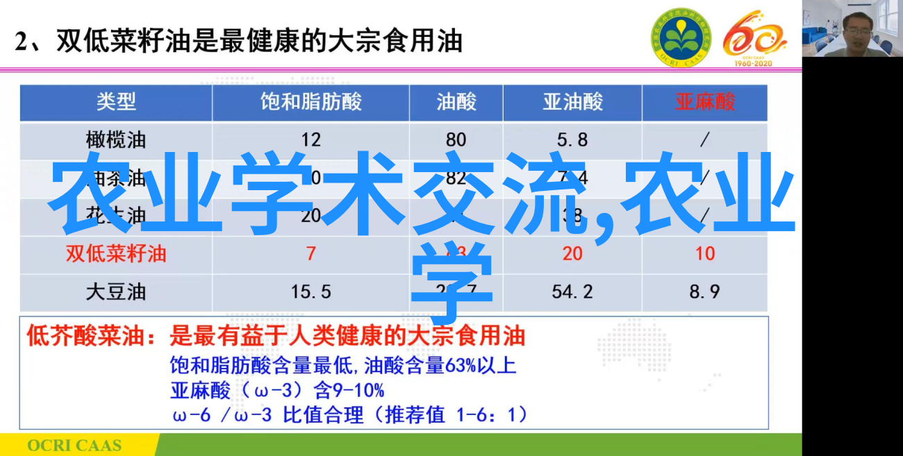 叶落千里外的秘密10公分美国红枫树背后的真相