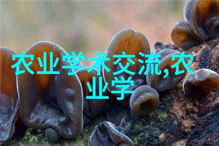 茶的文化知识从古代帝王到现代生活茶如何塑造了我们的饮食习惯与社交礼仪