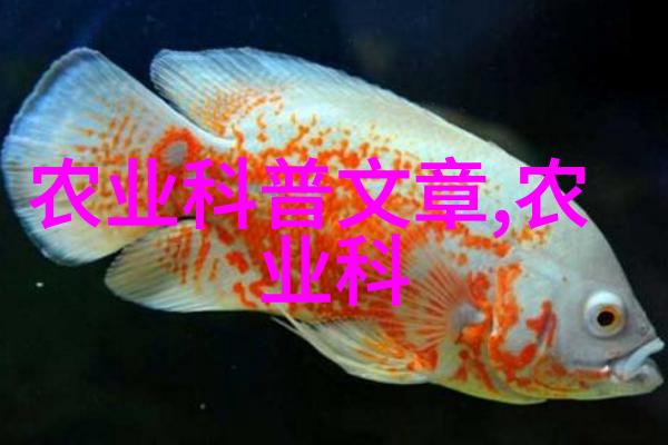 小龙虾养殖技术高效的水产养殖方法