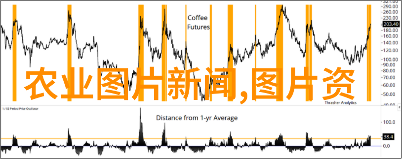 茶韵健康揭秘茶叶功效中的科学真相