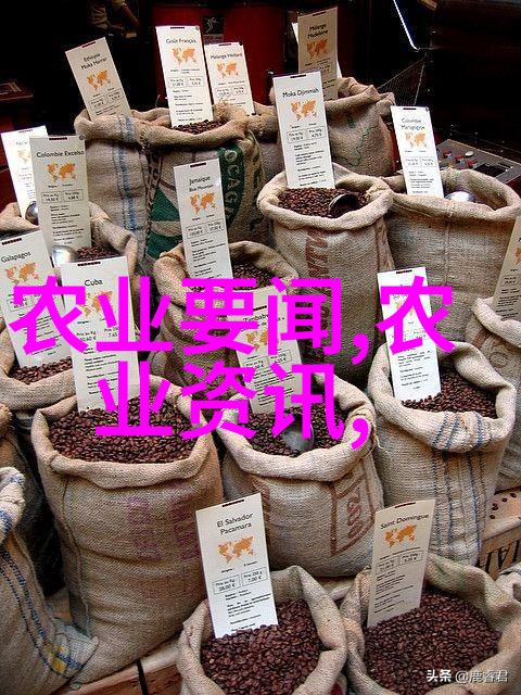 不忽视小群体我国超90种罕见病用药进医保