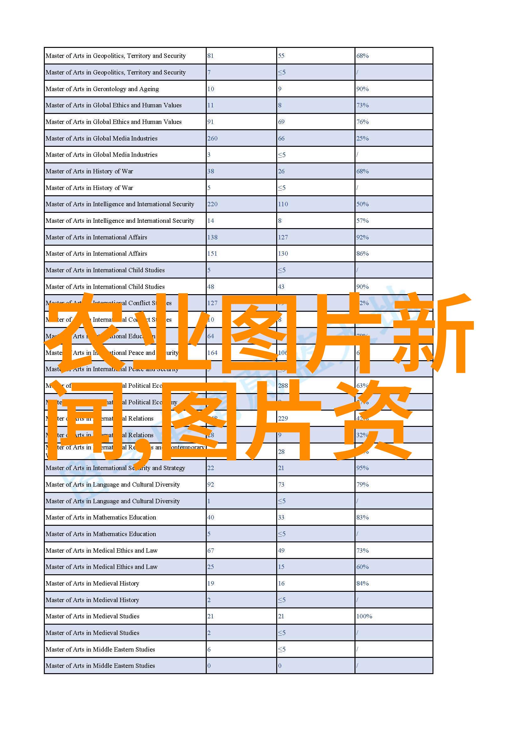 月桂的香气与我同行