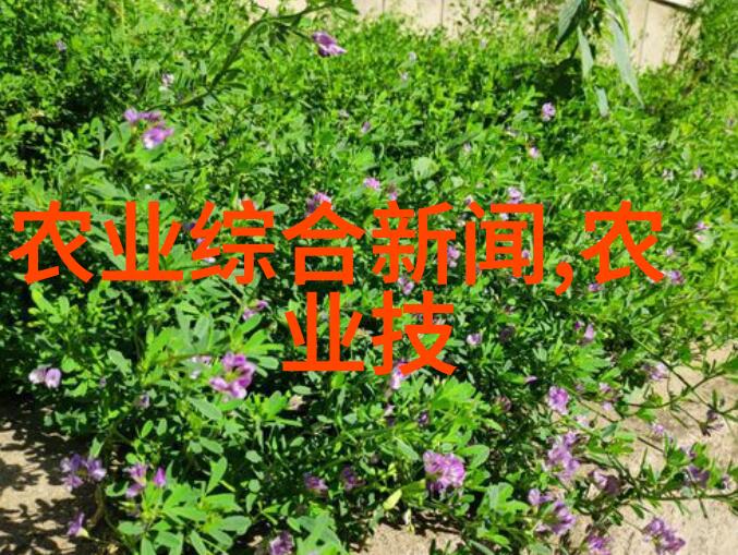 中国用茶的起源是探索古代文化与植物学之交融