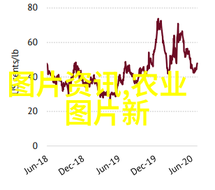 石蛙养殖技术-精准育种与环境调节提升石蛙养殖效率的关键要素