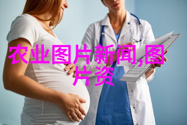 竹鼠养殖的秘诀如何提高生长速度和增强抗病能力