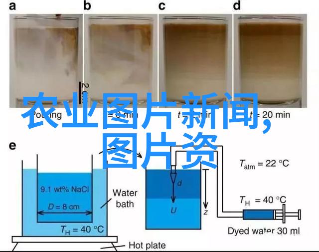 千万不要在家里水培蔬菜揭秘不适合家庭的水生绿意