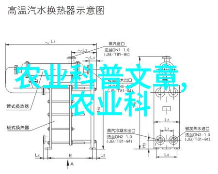 优质蛋鸡养殖技术全解析从饲养管理到产蛋效率的提升策略