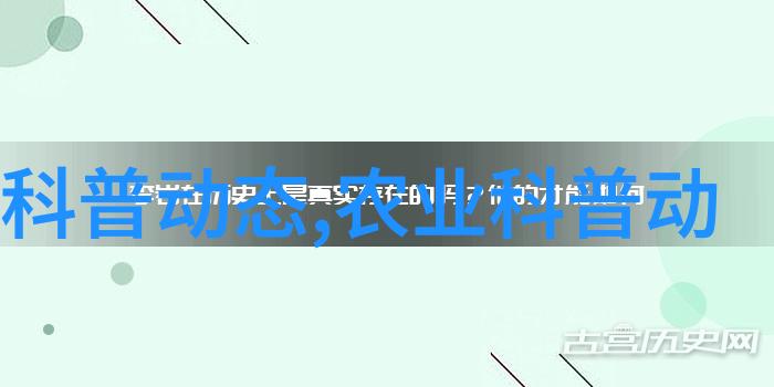 朱顶红叶子发黄别急先来一份2021年最火的生意加盟方案