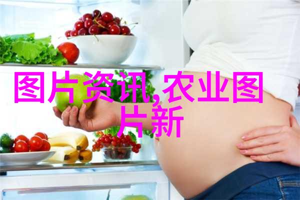 金蝉食性有哪些特点以及如何提供营养均衡的饵料