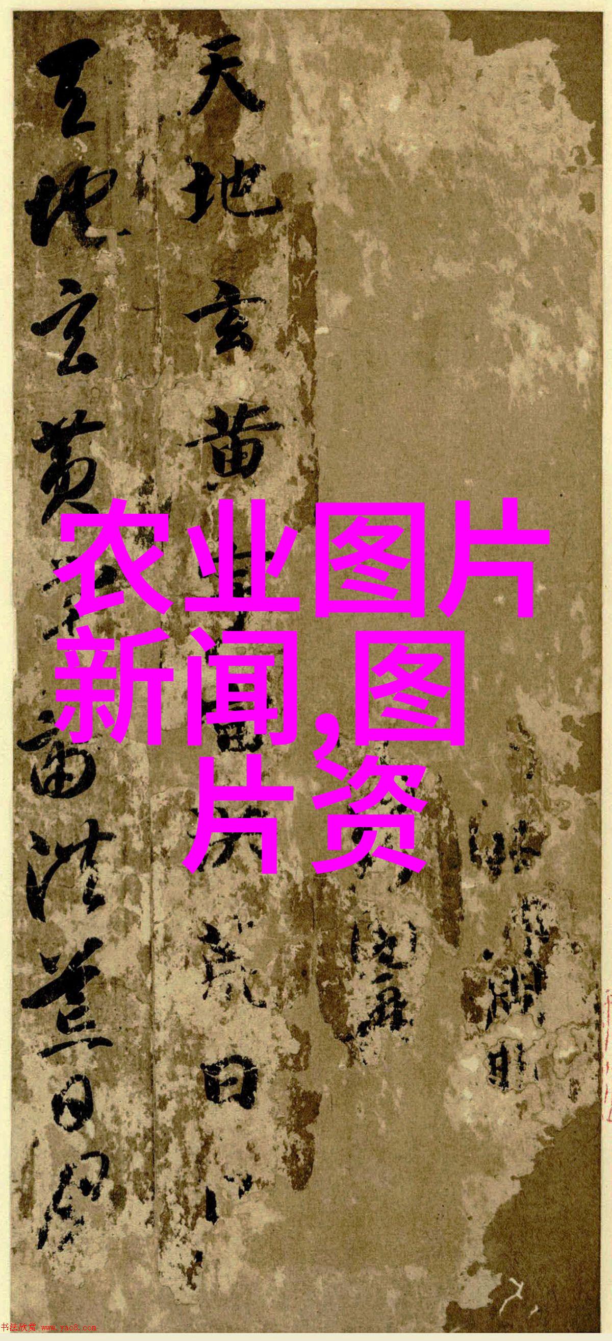 山东黄鳝养殖之道揭秘金丝雀鱼的智慧生态